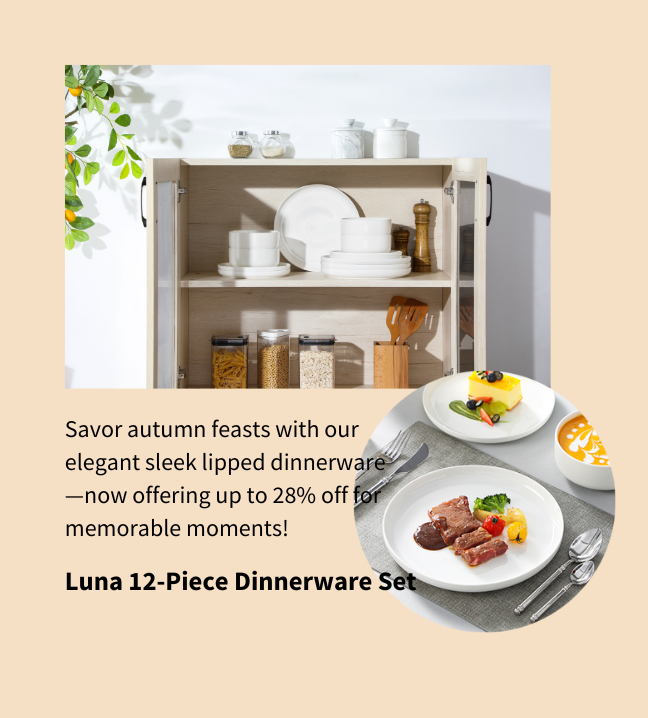 Luna 12 Piece Dinnerware Set